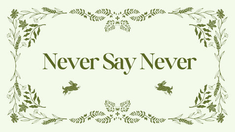 Never Say Never - The Bookmatters