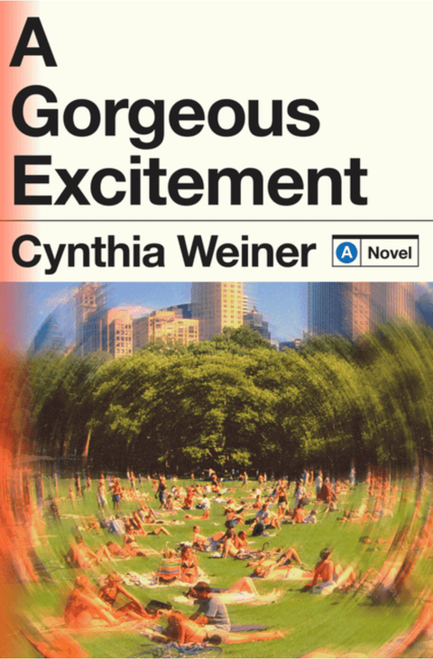 A Gorgeous Excitement - The Bookmatters
