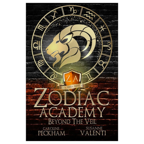 Zodiac Academy: Beyond the Veil Book 8.5 - The Bookmatters