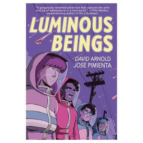 Luminious Beings - The Bookmatters