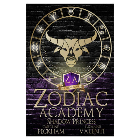 Zodiac Academy: Shadow Princess Book 4 - The Bookmatters