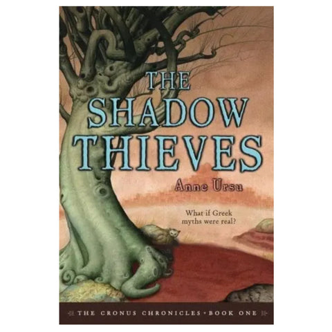 The Shadow Thieves (USED) - The Bookmatters