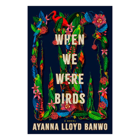 When We Were Birds - The Bookmatters
