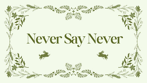 never say never blog post for the bookmatters 