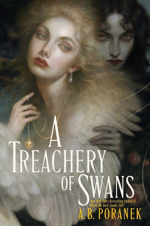 A Treachery of Swans - The Bookmatters