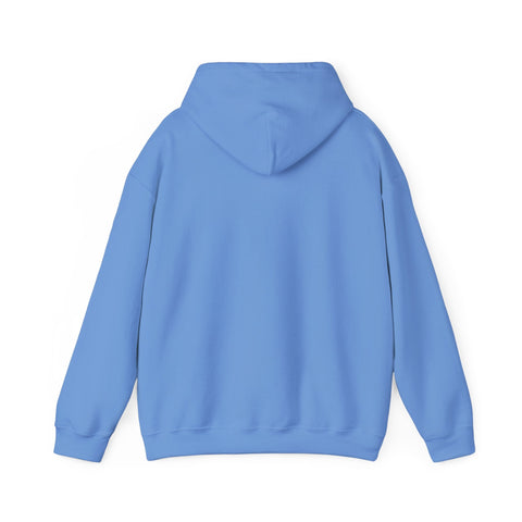 Cozy Hoodie - The Bookmatters