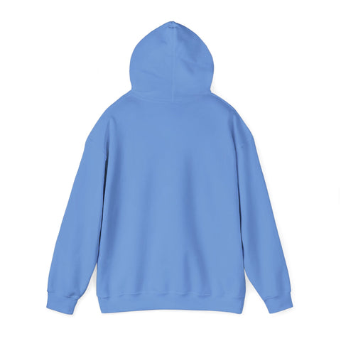 Cozy Hoodie - The Bookmatters
