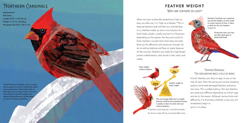 light-as-a-feather-one