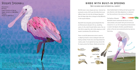 light-as-a-feather-three