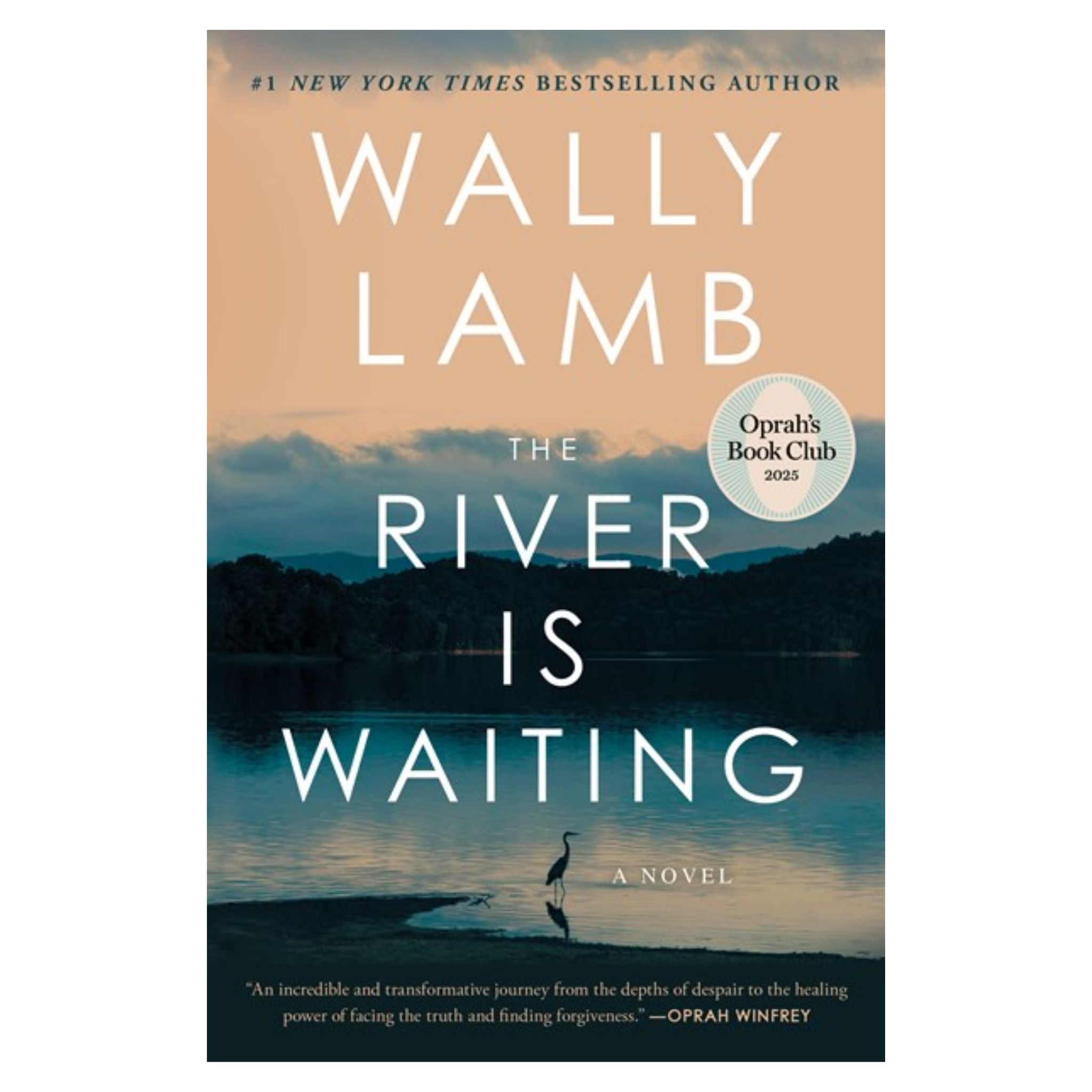 The River Is Waiting (USED)