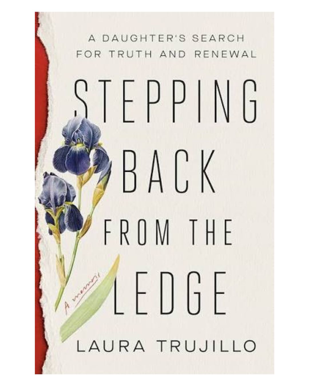 Stepping Back From the Ledge (USED)