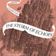 Storm of Echoes: Book Four of the Mirror Visitor Quartet