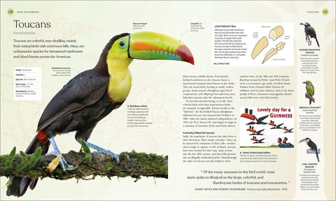 the-bird-book-page-two