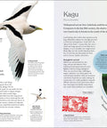 The Bird Book: The Stories, Science, and History of Birds (DK Nature Books) - The Bookmatters
