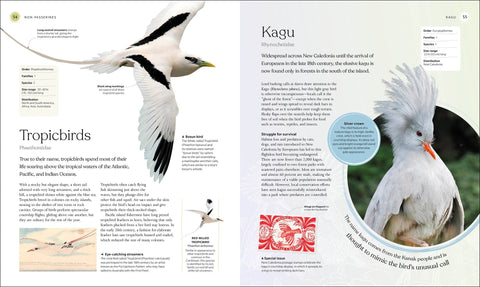 The Bird Book: The Stories, Science, and History of Birds (DK Nature Books) - The Bookmatters