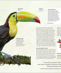 The Bird Book: The Stories, Science, and History of Birds (DK Nature Books) - The Bookmatters
