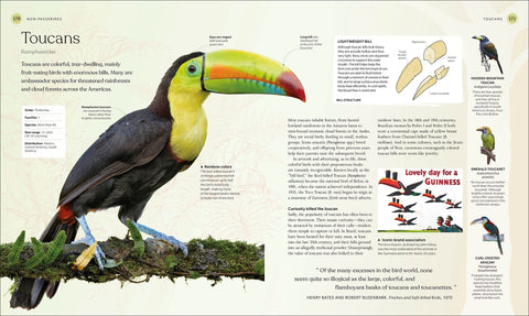 The Bird Book: The Stories, Science, and History of Birds (DK Nature Books) - The Bookmatters