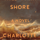 wild dark shore - the bookmatters