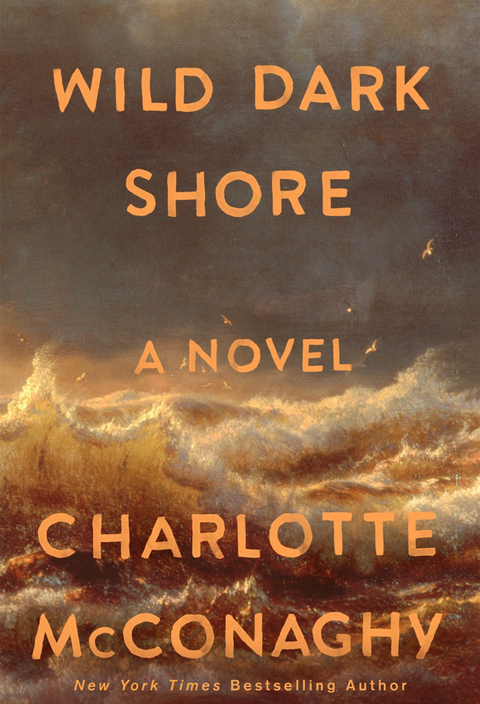 wild dark shore - the bookmatters